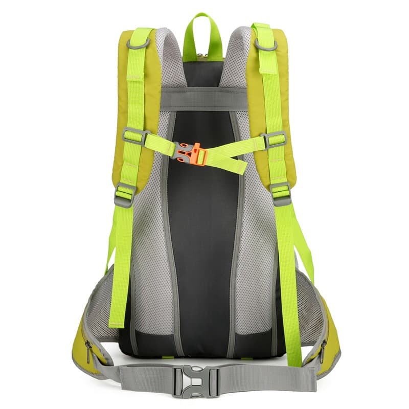 248 Laptop Hiking Backpack Back Display