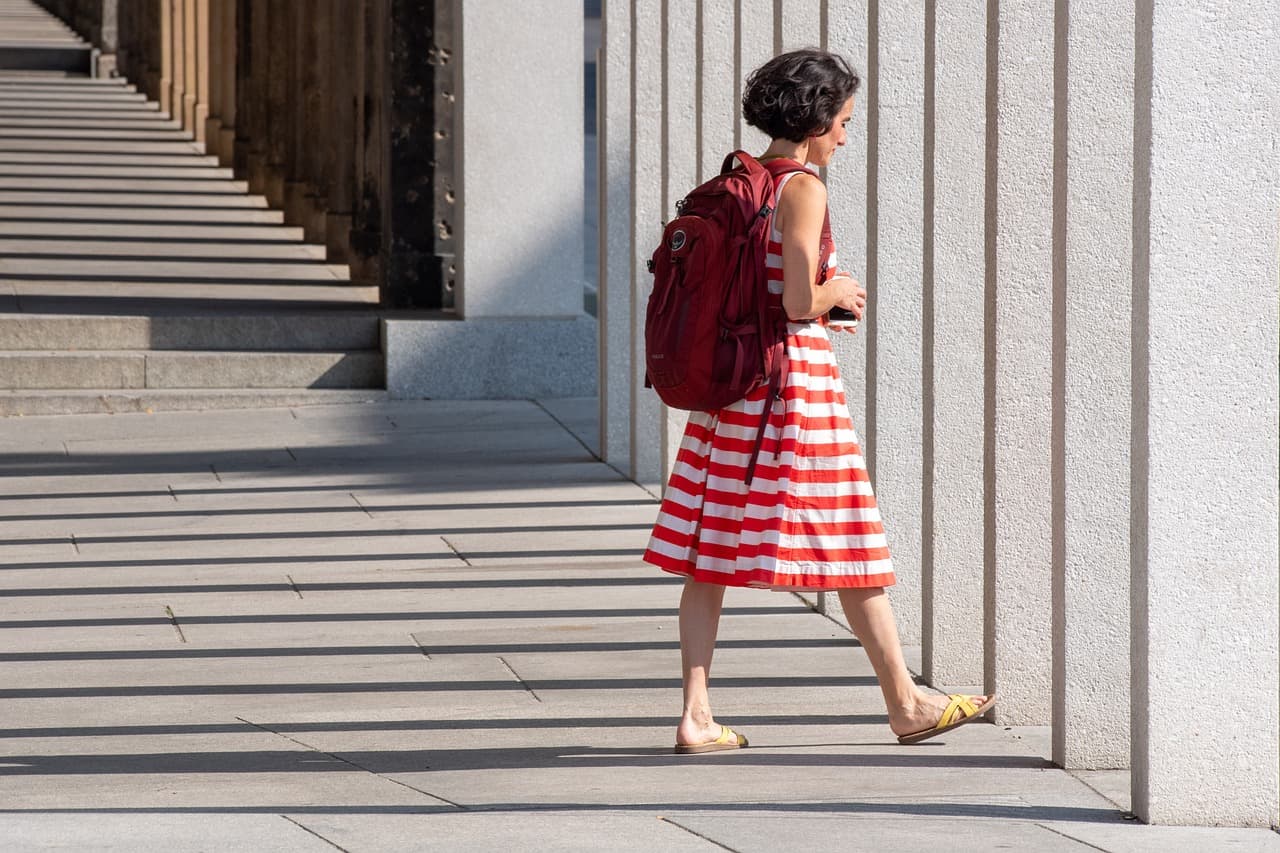 History Of The Backpack Pink Dress